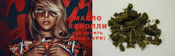 PSILOCYBIN Аркадак