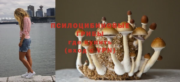 метамфетамин Арсеньев