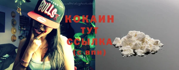 PSILOCYBIN Аркадак