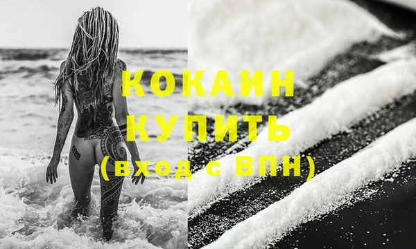 PSILOCYBIN Аркадак