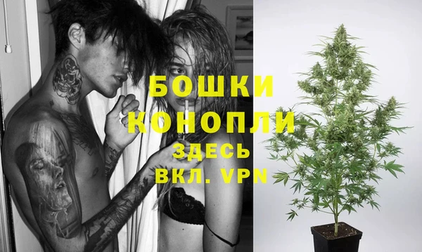 PSILOCYBIN Аркадак