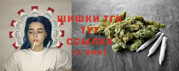 герыч Пересвет