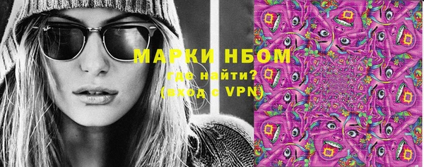 молекула духа Пестово